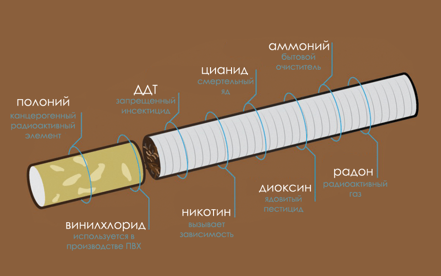 image3.png image3.png