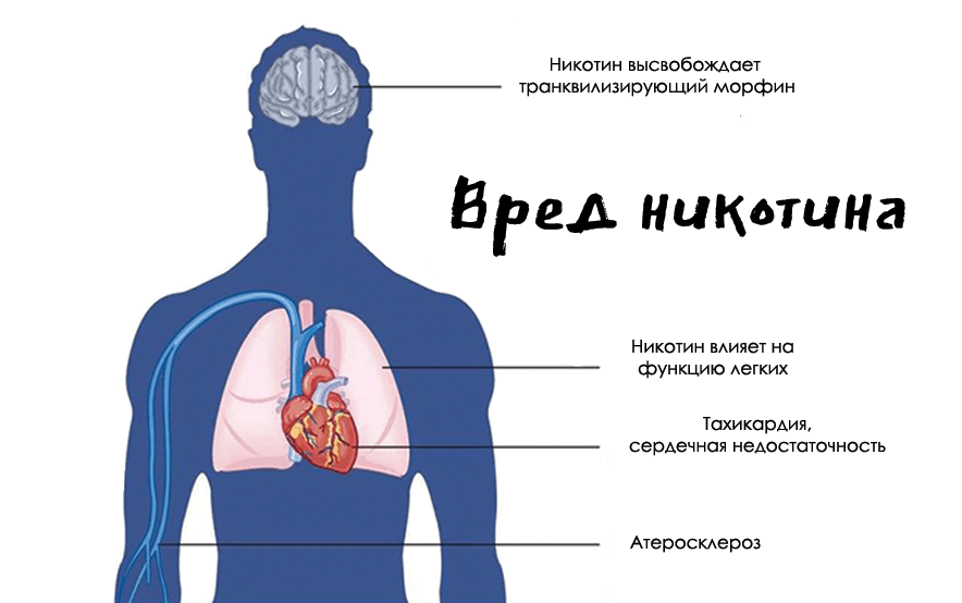image1.png image1.png