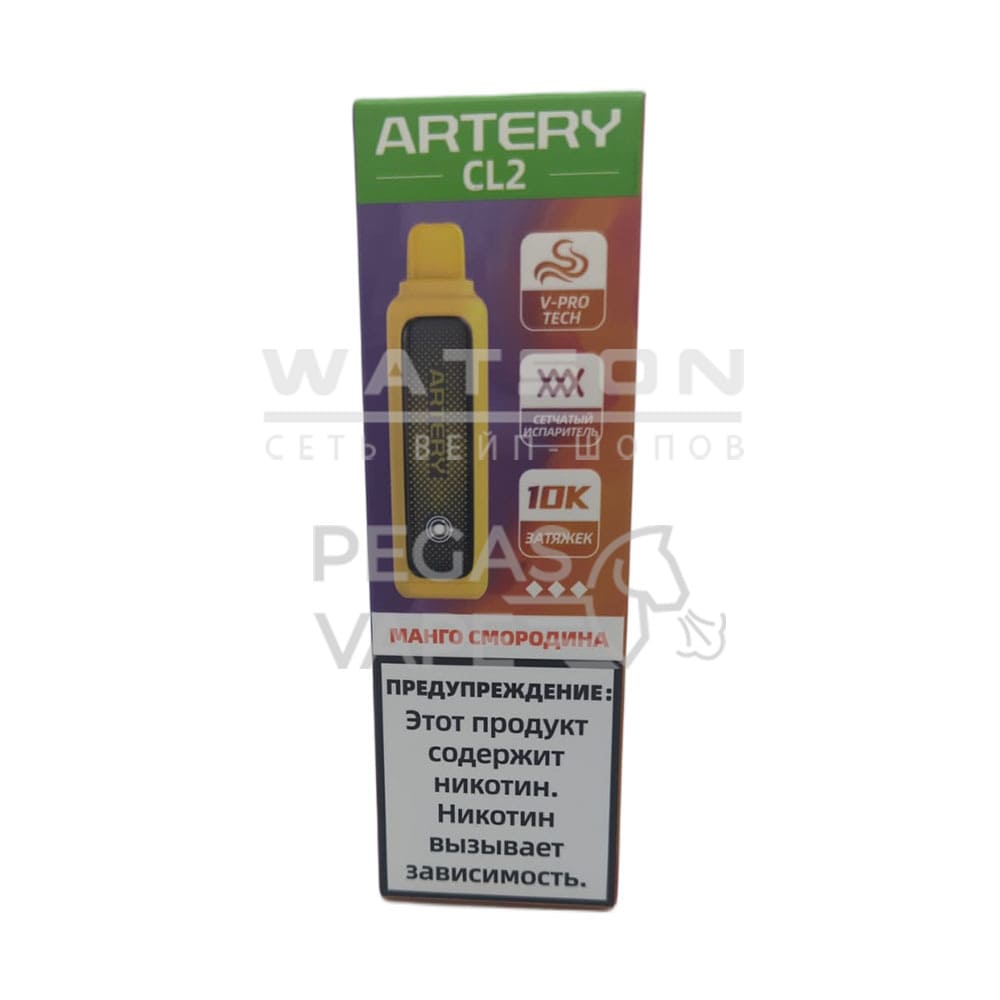 Электронная сигарета Artery CL2 10000 (FLAVOR+ICE edtion) (Манго черная смородина)