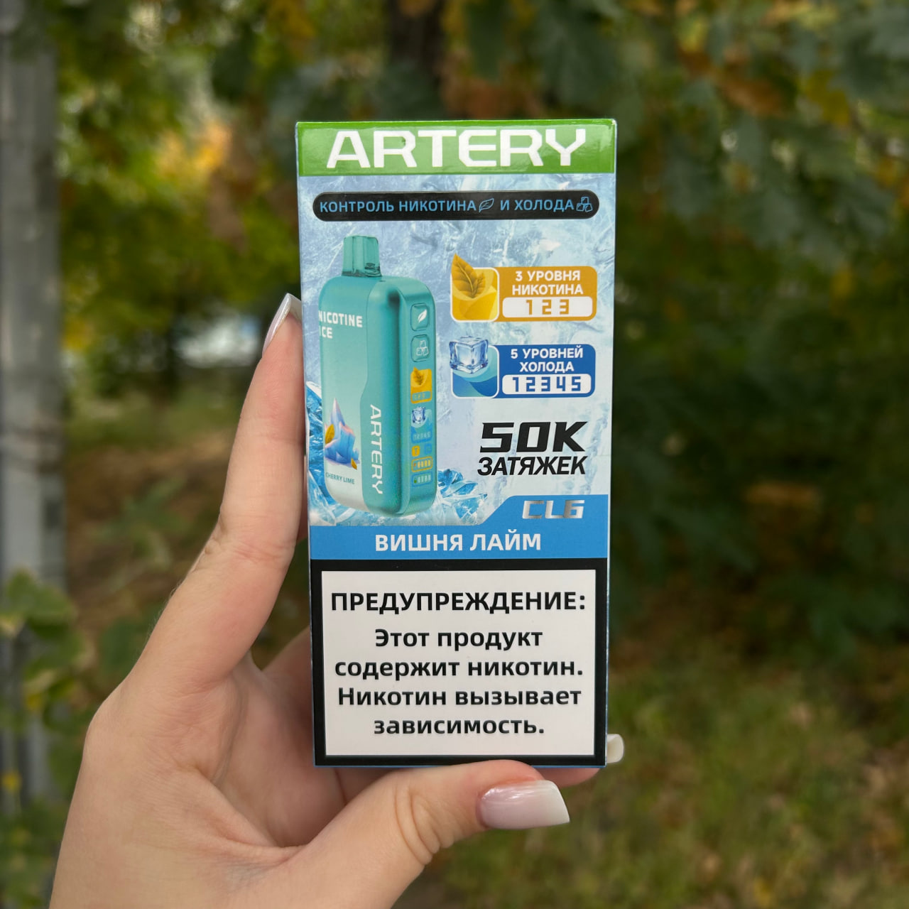 Artery CL6