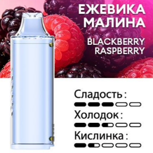 Картридж PUFFMI Dura Halo Classic — Ежевика малина